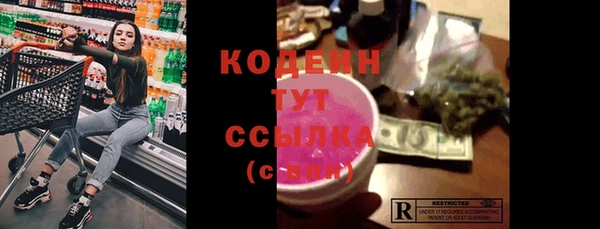 тгк Инсар