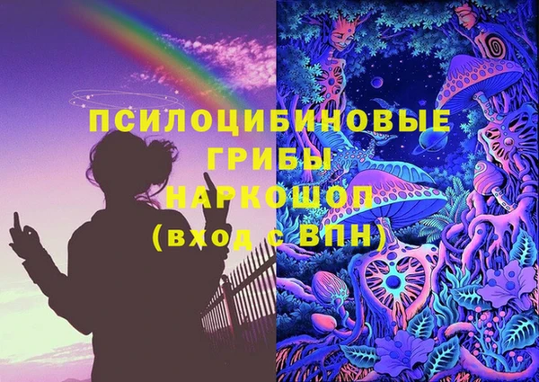 тгк Инсар