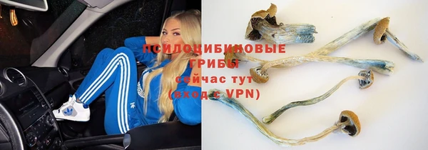 тгк Инсар