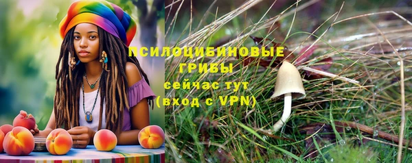 2c-b Иннополис