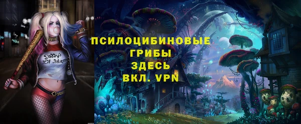 герыч Инта