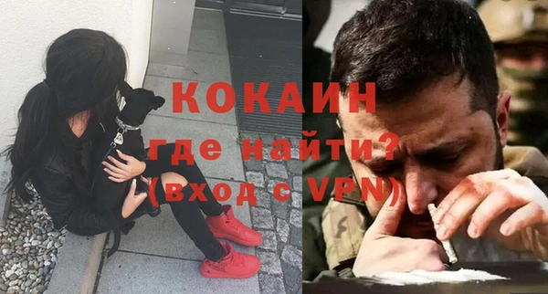 тгк Инсар